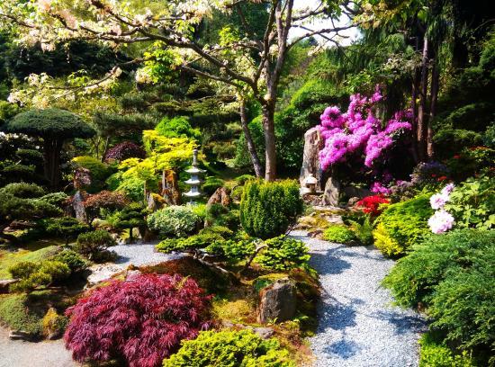 Japanese Garden